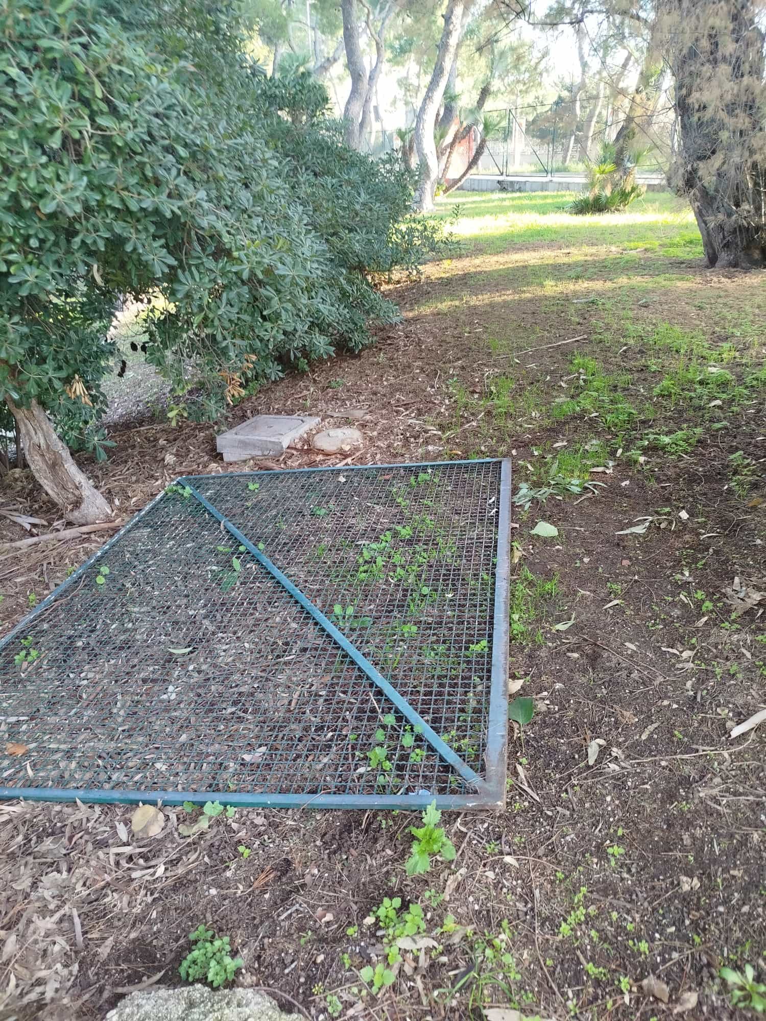 La cancellata rimossa