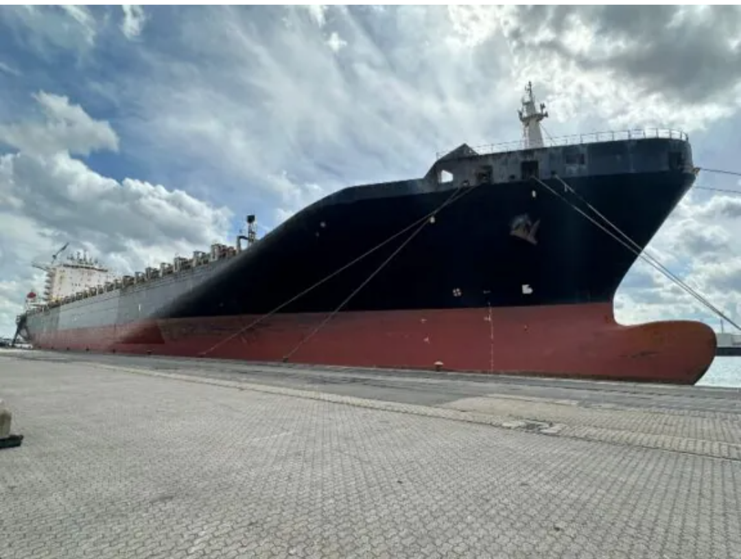 scopri tutto sulla morte marittima nella località di mola: cause, conseguenze e curiosità su questo fenomeno che coinvolge il litorale e le sue tradizioni.