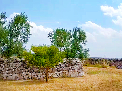 scopri le migliori piste ciclabili a mola di bari: percorsi panoramici, consigli utili e informazioni aggiornate per bici e ciclisti di ogni livello.